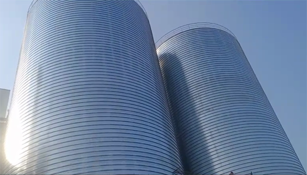 武威2座混凝土高架卷板仓